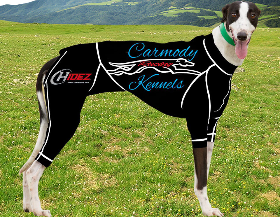 Racing Greyhound Customised Logo suits